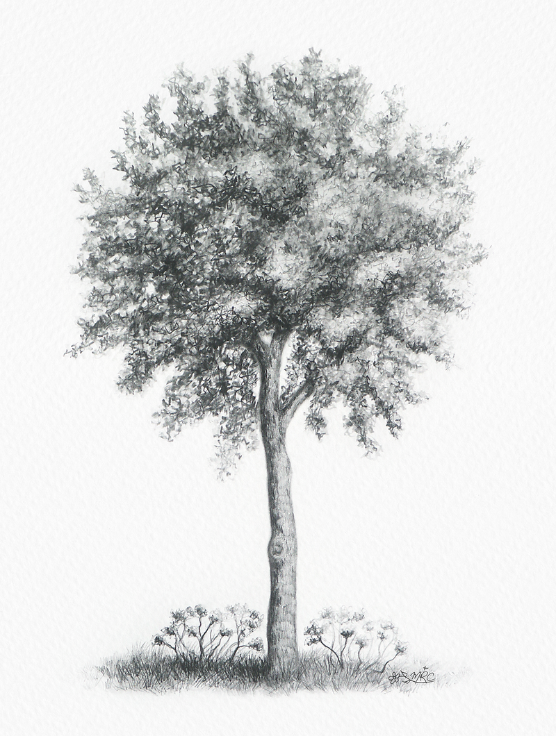 Catholic sacred art prints for sale